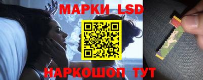 мяу мяу мука Будённовск