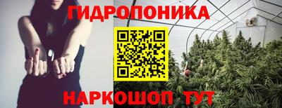 мяу мяу мука Будённовск