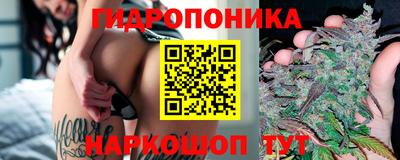 мяу мяу мука Будённовск
