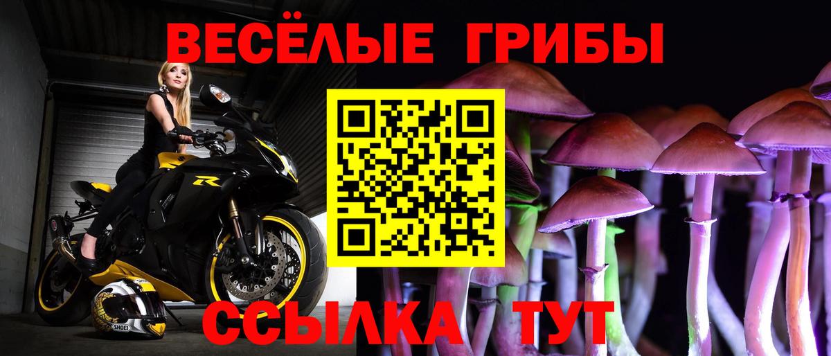 как найти наркотики  Вход с VPN  Салават  Псилоцибиновые грибы Magic Shrooms  Галлюциногенные грибы прущие грибы 